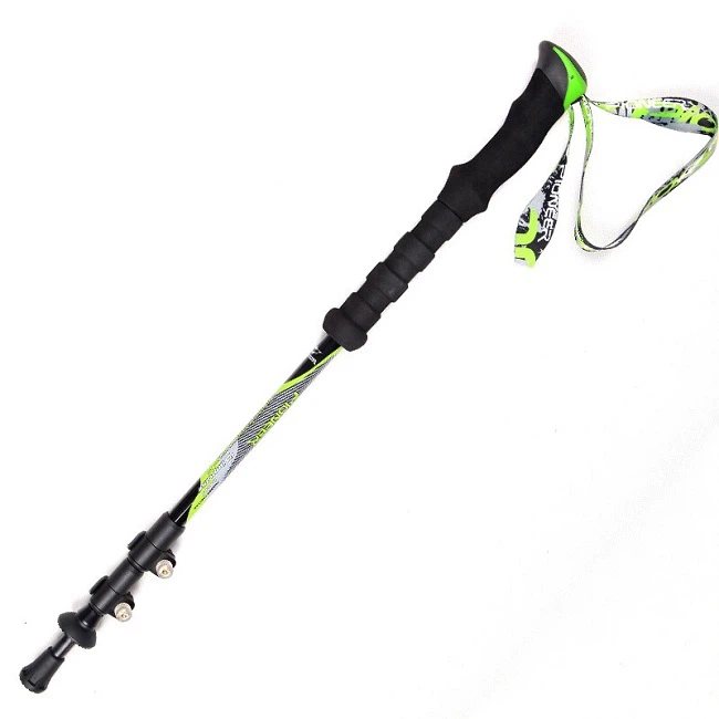 another types walking stick